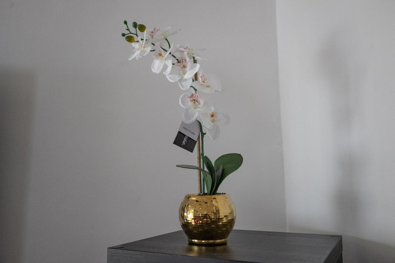 London - 4 Bed - Sleeps 8 - Garden - Pet Friendly Villa Eksteriør bilde